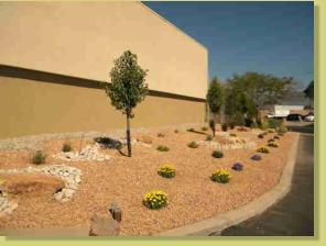 Landscaping and sod installation by Rising Sun Landscaping & Maintenance