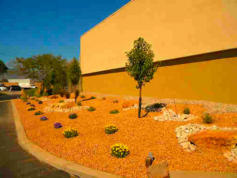 Commercial landscaping