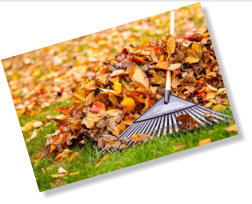 For landscape home staging, make sure to keep the yard tidy, such as keeping leaves raked.