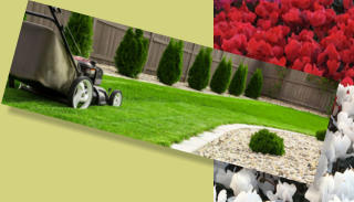 Make sure to keep your lawn well mowed and trimmed for landscaping home staging.