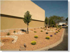 Commercial landscaping is important to attract and please customers.