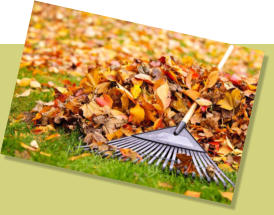 Well maintained commercial properties such as leaf raking and lawn mowing are important for businesses.