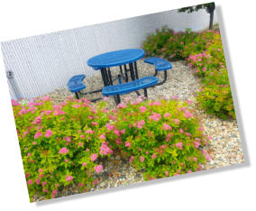 Businesses should consider a well maintained and functional break area with plants, tables, and shade to increase employee morale.