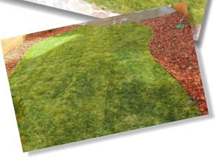 grass sod in back yard landscaping by Rising Sun Landscaping & Maintenance