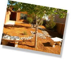 Xeriscaping can be both beautiful and conserve water.